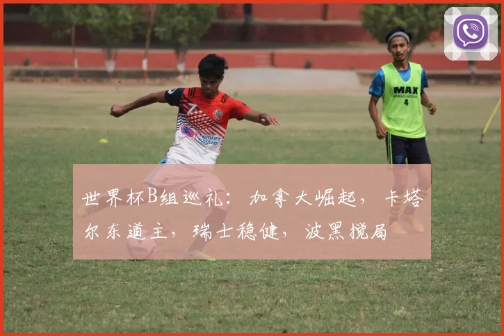 世界杯B组巡礼：加拿大崛起，卡塔尔东道主，瑞士稳健，波黑搅局